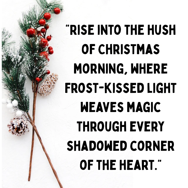 Good Morning Christmas Quotes Photos for Tumblr 