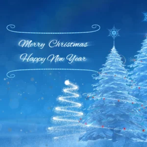 Merry Christmas and happy new year