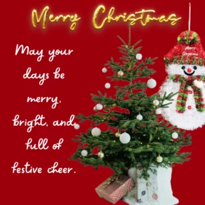 Minimalist Merry Christmas 2025 Greeting Card