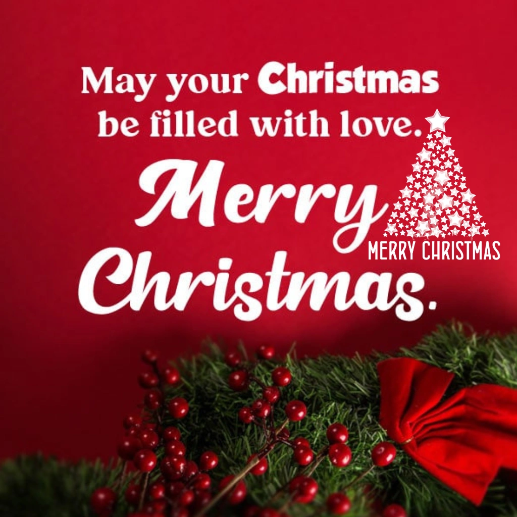 merry christmas Captions for instagram