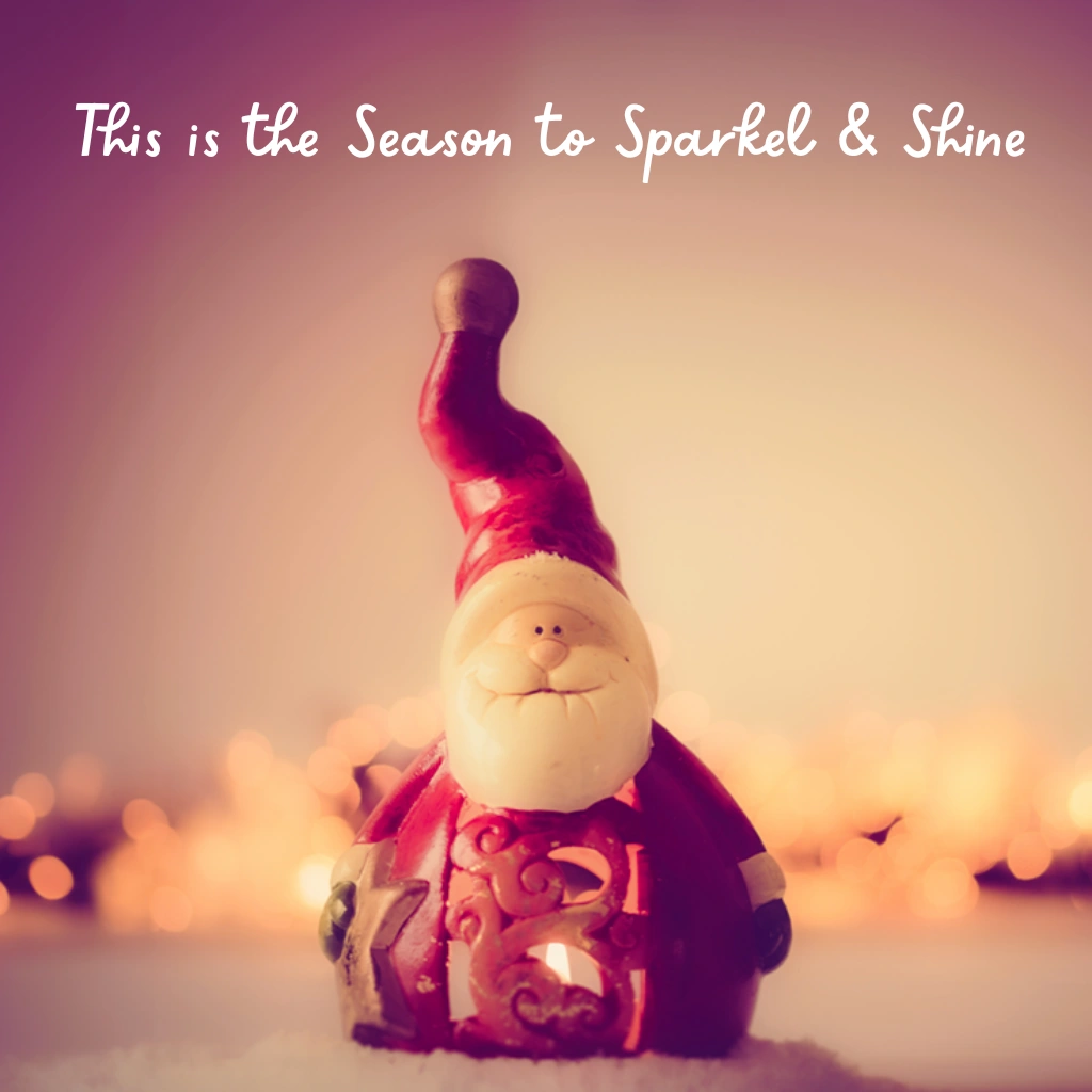 merry christmas Captions for instagram post