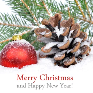 merry christmas and happy new year 2026 wishes