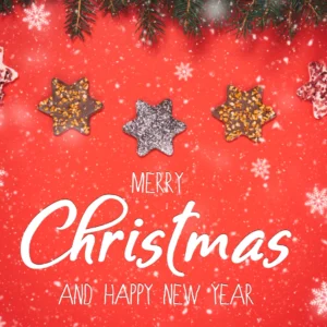 merry christmas and happy new year 2026