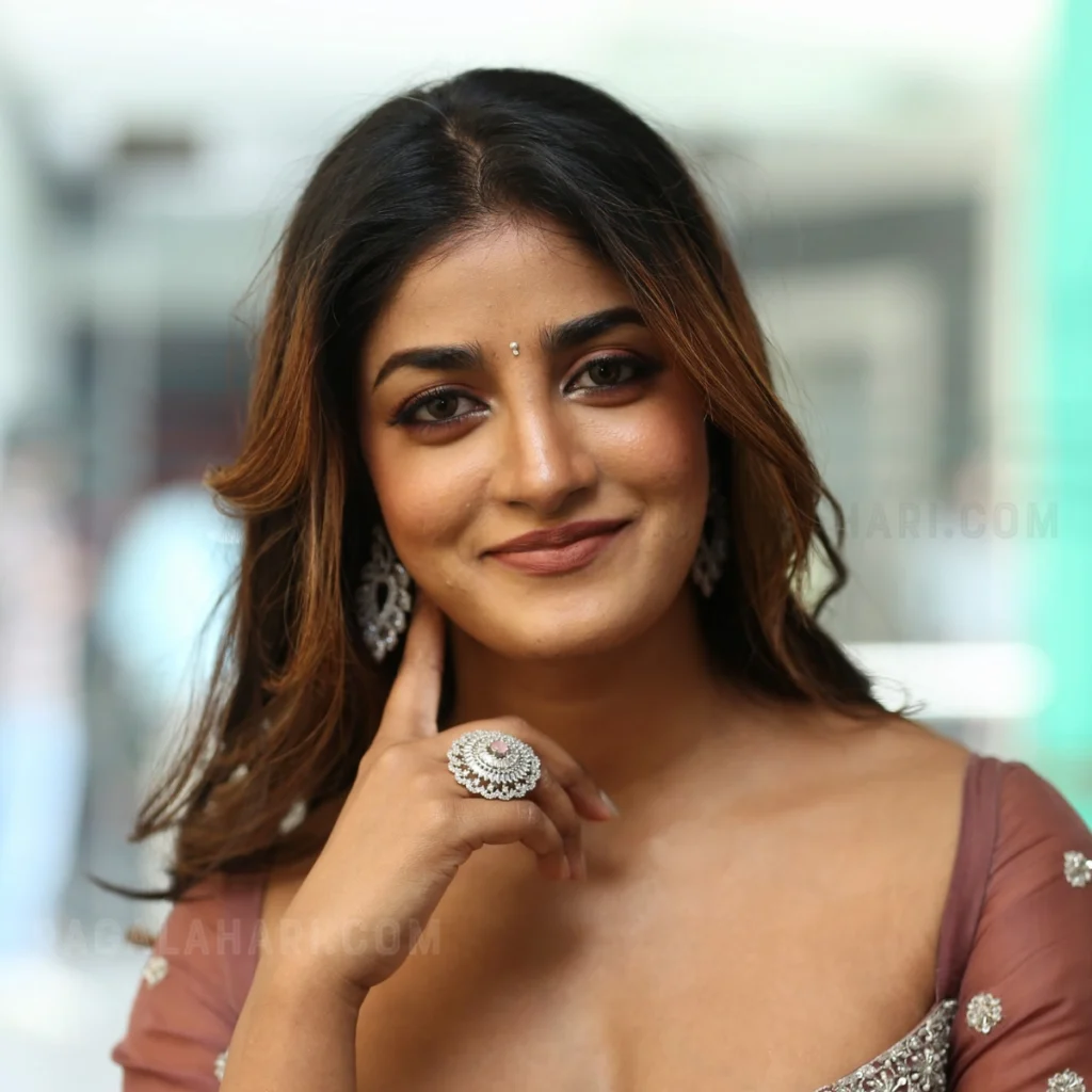 Dimple Hayathi at Bhartha Mahasayulaku Wignyapthi Interview