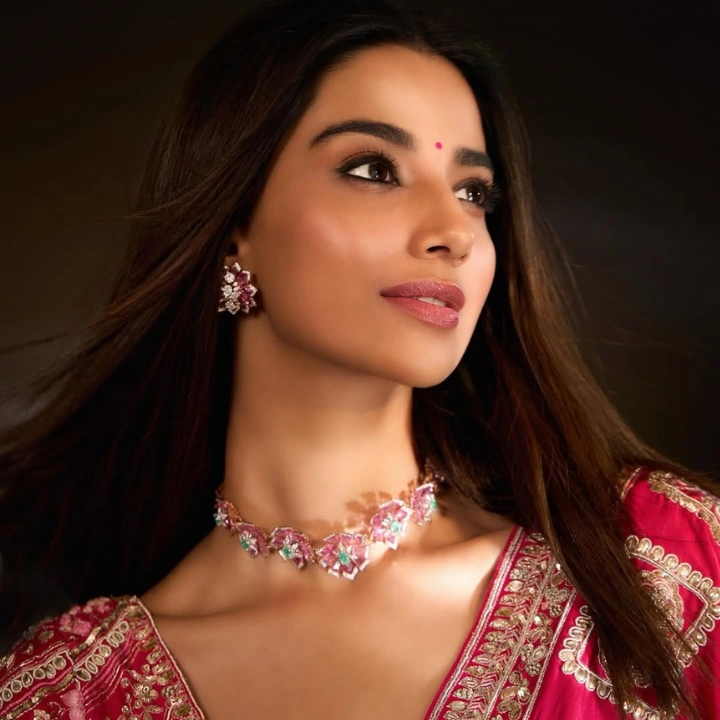 Meenakshi Chaudhary Saree pics