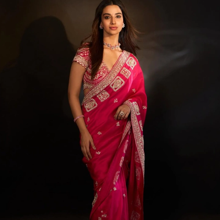 Meenakshi Chaudhary image