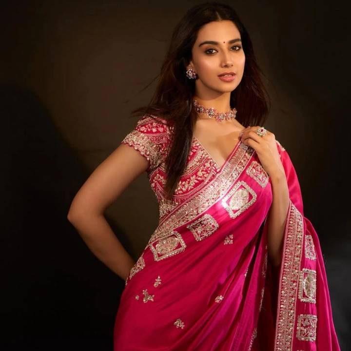 Meenakshi Chaudhary photos 