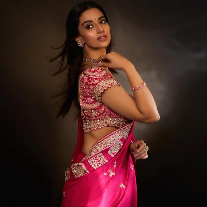 Meenakshi Chaudhary saree Pics