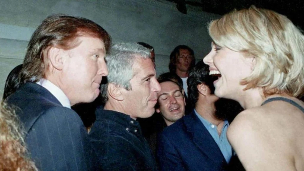 Julie K Brown Biography