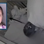 Cindy Desser Case: Nurse Charged With Child Endangerment in Pennsylvania