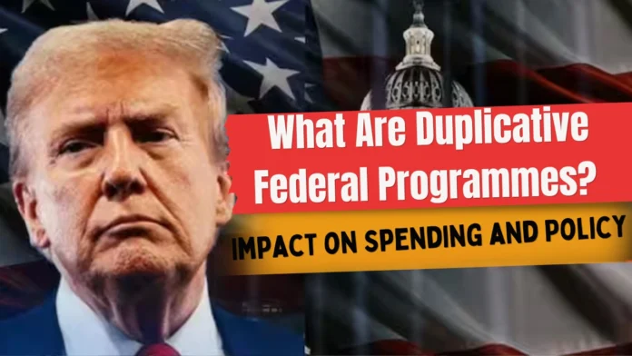 What Are Duplicative Federal Programmes?